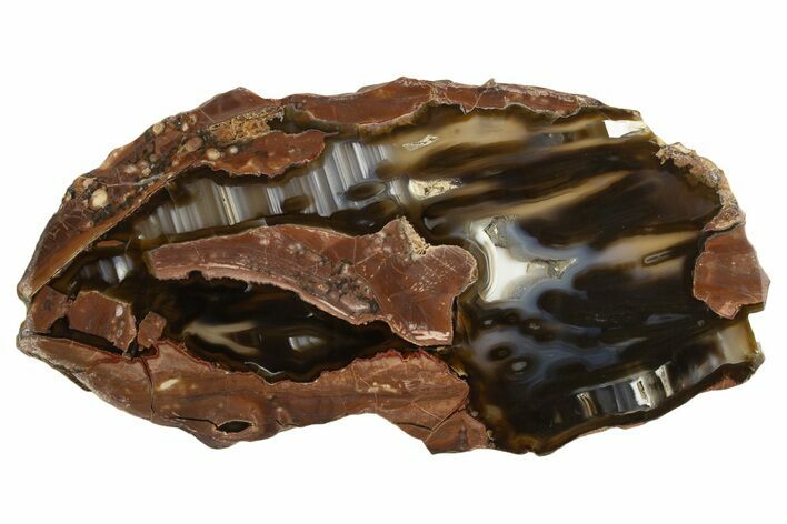 Polished Big Oak Springs Agate Slab - Oregon #335041